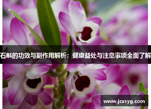 石斛的功效与副作用解析：健康益处与注意事项全面了解