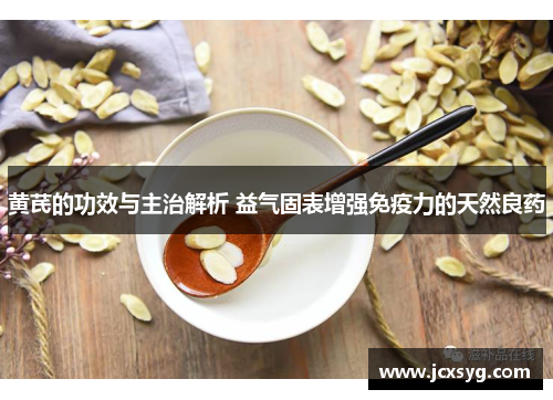 黄芪的功效与主治解析 益气固表增强免疫力的天然良药